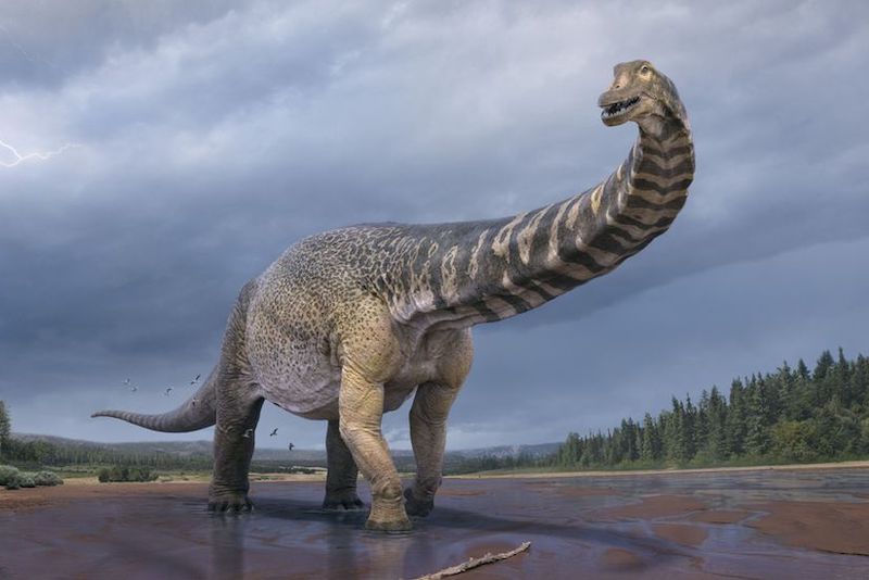 100'den fazla dinozor yumurtası ve dinozor kalıntıları bulundu
