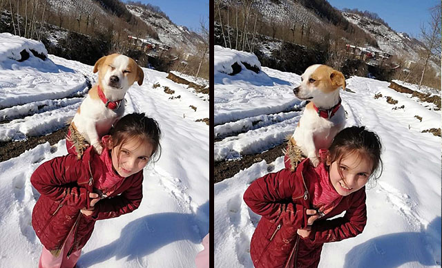 9 yaşındaki Cemre, rahatsızlanan köpeğini sırtında veterinere götürdü 