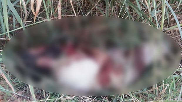 AA IŞİD'liye ait olduğu iddia edilen ceset fotoğrafını yayımladı!