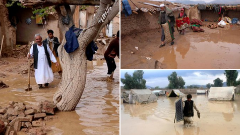 Afganistan'da sel felaketi: 50 insan ve çok sayıda hayvan hayatını kaybetti