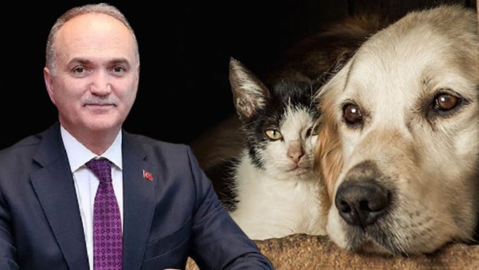 AKP’li Düzce Belediye Başkanı Faruk Özlü köpek soykırımı yasasına tepki gösterdi