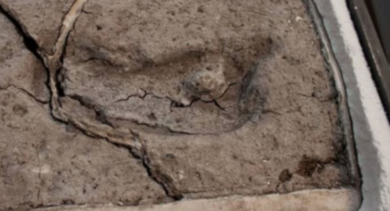 Amerika kıtasındaki en eski ayak izinin Şili'de