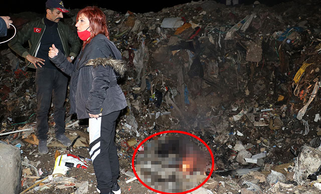 Ankara'da, çöplükte yanmış köpek ölüsü bulundu 