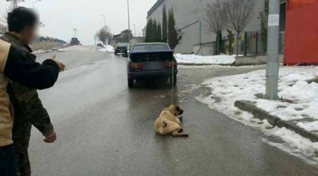 Ankara'da köpeği arabayla sürükledi! Benim değil mi istediğimi yaparım....