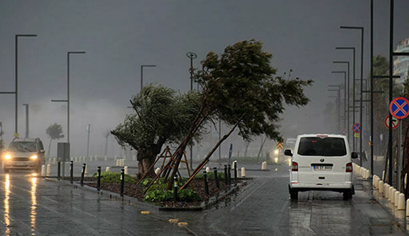 antalya,fırtına,Antalya'da fırtına etkisini artırdı: Dev dalgalar oluştu, ağaçlar devrildi 