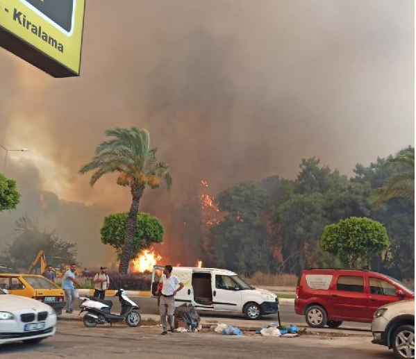 Antalya'da orman yangını: 'Yaralılar var, hayvanlar öldü'