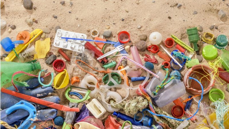 Araştırma: Plastik yiyen bakteri ve mantarlar atık sorununa çözüm olabilir