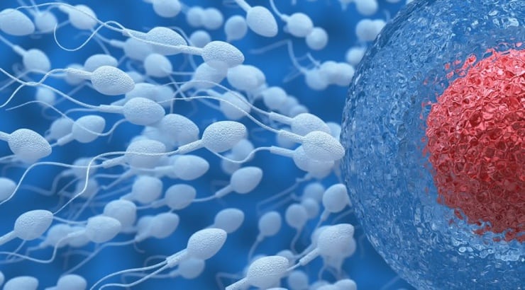 sperm, fare, uzay,Araştırma: Spermler uzayda 200 yıla kadar dayanabiliyor
