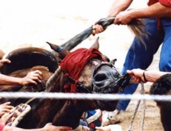Eskişehir'de atlara yapılan eziyetlere karşı eylem!