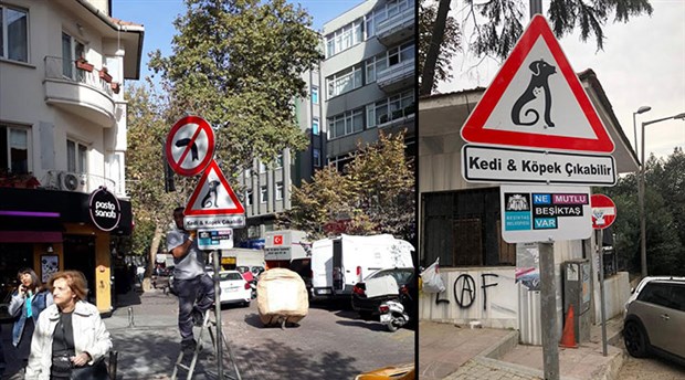 Beşiktaş'ta sokaklara 'kedi ve köpek çıkabilir' tabelaları asıldı