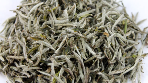 Beyaz çay kilosu 3 bin TL'ye alıcı buluyor!