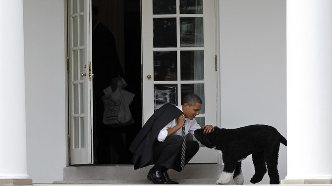 Beyaz Saray'da yaşayan köpek Bo, kanser nedeniyle hayatını kaybetti 