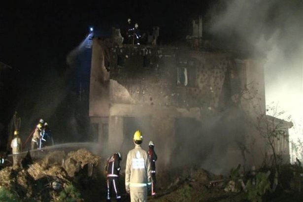 Beykoz'da yangın! Çok sayıda hayvan hayatını kaybetti