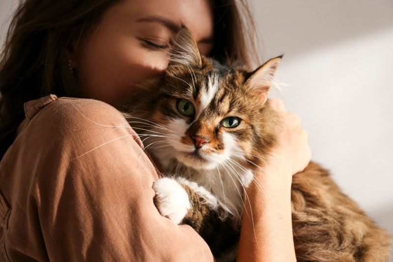 Bilim insanları, kedilerle insanlar arasındaki 5 ilişki türünü açıkladı