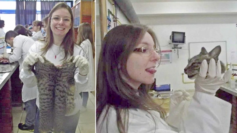 Biyoloji dersinde kedilerin kullanılmasına tepki yağdı