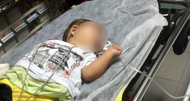 'Bursa'da 8 aylık bebek bonzai komasına girdi' iddiası!