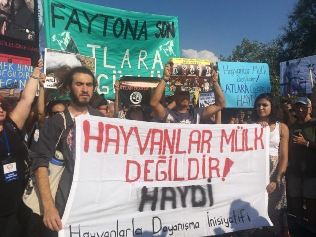 Büyükada’da fayton işkencesi protesto edildi!