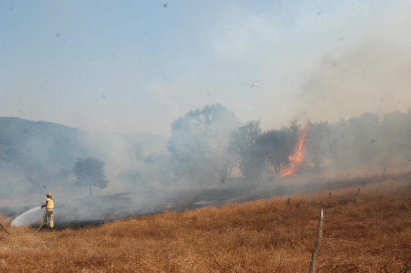 Çanakkale'nin 3 ilçesinde orman yangını