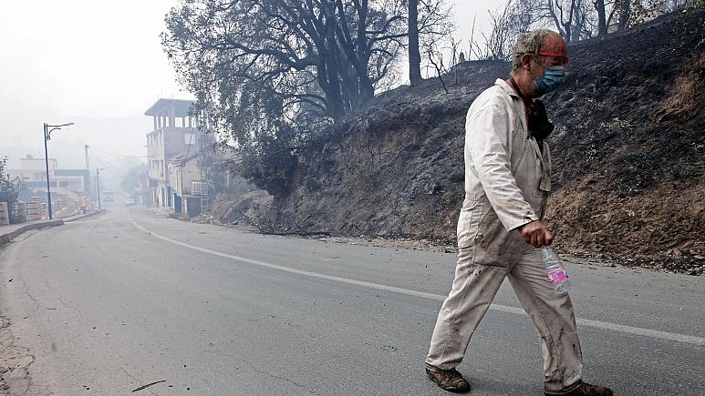 Cezayir'deki orman yangınlarında 42 kişi hayatını kaybetti 
