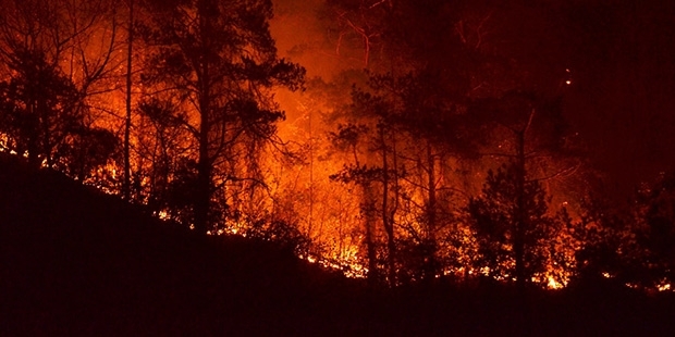 CHP'li vekil: Sürmene'de yanan orman, Erdoğan'ın Katar Emiri'ne havadan dolaşarak gösterdiği yer