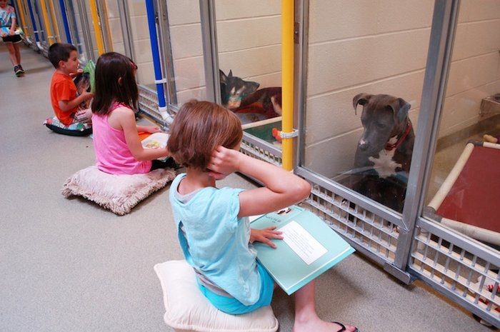 Çocuklar barınaktaki köpeklere kitap okuyor ama F Tipi'nde!
