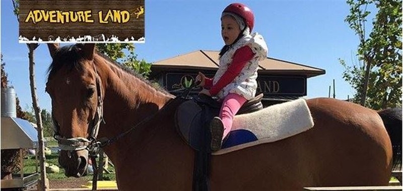Çocuklara atlara nasıl eziyet edilir dersi! Vialand Adventure Land'de..