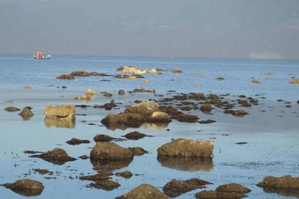 Deniz çekilince antik liman kalıntıları su yüzüne çıktı