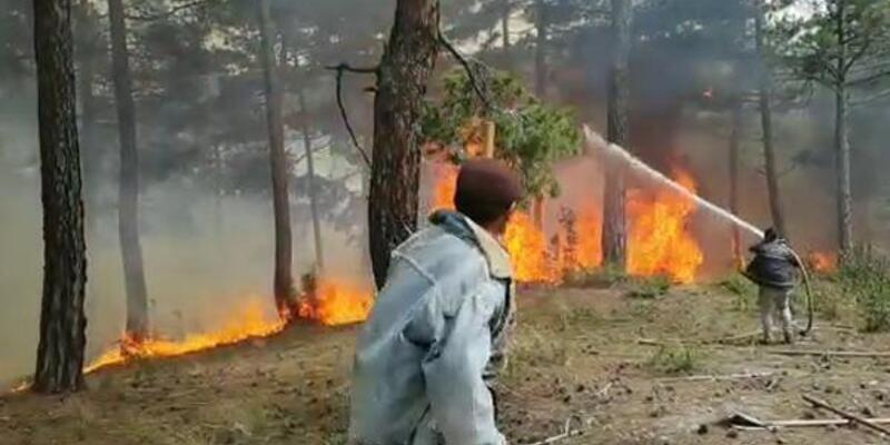 Denizli'de orman yangını: 4 hektar alan yandı