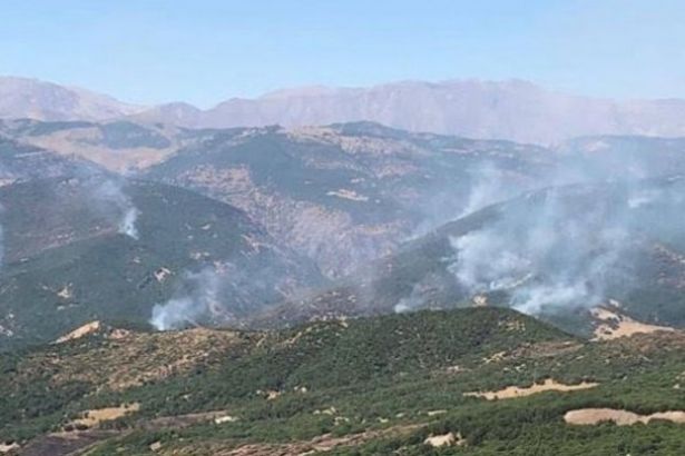 'Dersim'deki orman yangınına müdahale edilmedi'