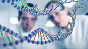 DNA onarımına yardım eden proteinin yapısı çözüldü