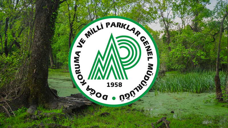 Doğa Koruma ve Milli Parklar Genel Müdürlüğü kapatılıyor