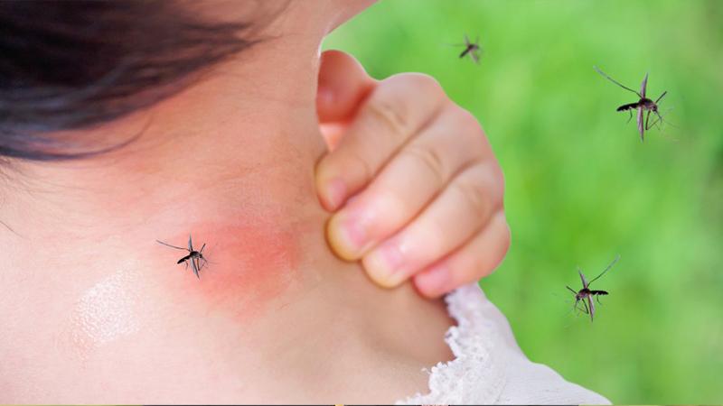 Doktor Gazyağcı: Sivrisineklerin koronavirüsü taşıyabilme riski var