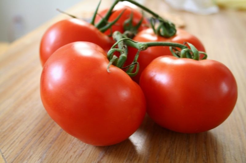 Rusya Türkiye'den gelen 735 kilo domatesi imha etti!