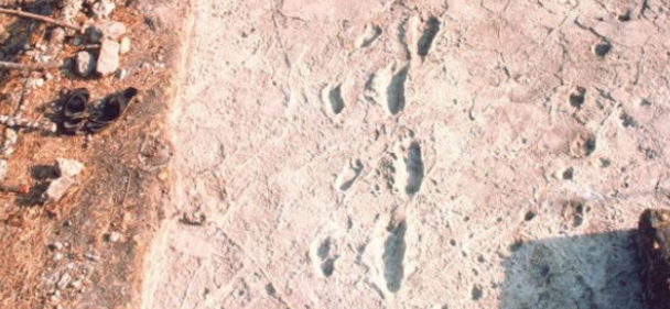 Dünyanın en eski insan ayak izlerine inceleme!