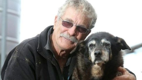 Dünyanın en yaşlı köpeği Maggie hayatını kaybetti!
