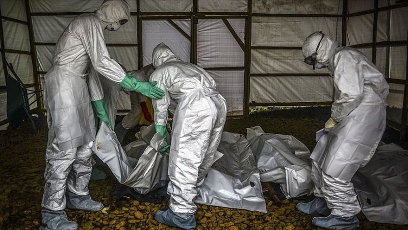 Ebola salgınında ölü sayısı 564'e çıktı