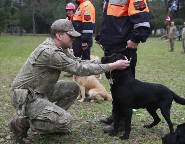 Enkazdan 78 kişiyi kurtaran köpeklere madalya takıldı