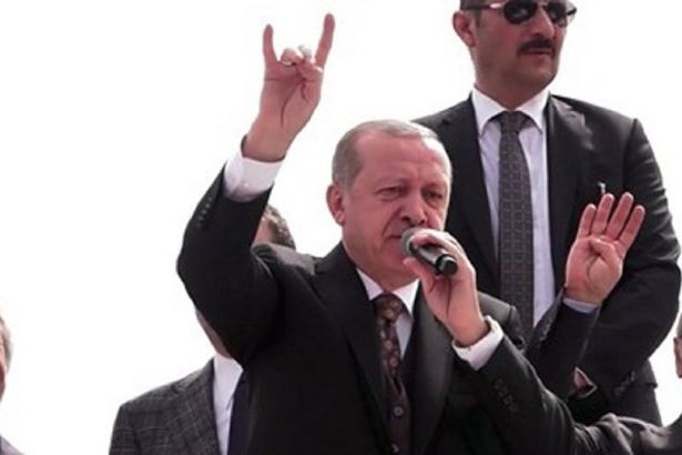 Erdoğan'dan bozkurt hareketi açıklaması: Farkında bile değildim