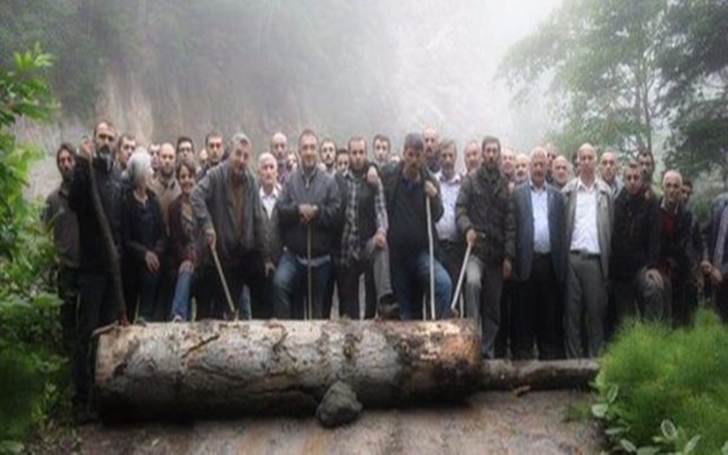 Eroğlu: Cerrattepe'de eylemciler yolu kapamak için ağaç kesti!