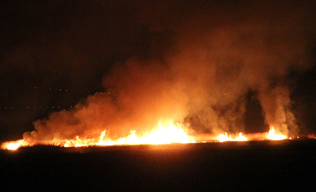 Erzincan'da 'kuş cenneti'nde yangın