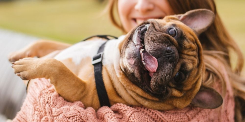 'Evcil hayvan sahipleri, günlük yaşamlarında daha çok gülüyor'