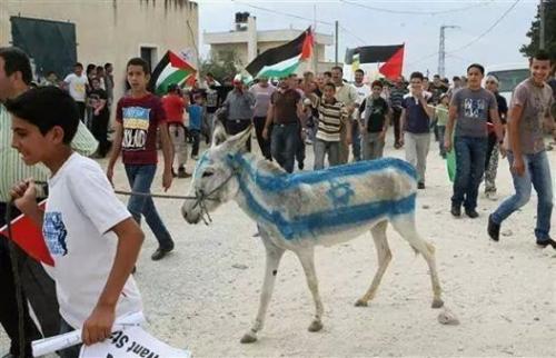 Filistin'de eşeğe işkence!