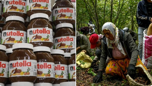 Fındık işçileri: Nutella bizden daha çok kazanıyor,bu sömürüdür