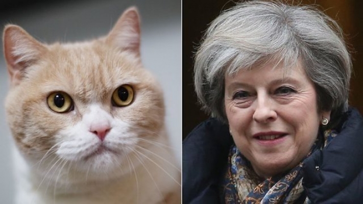 Fransız bakan kapıyı açtığında çıkmayan kedinin adını 'Brexit' koydu