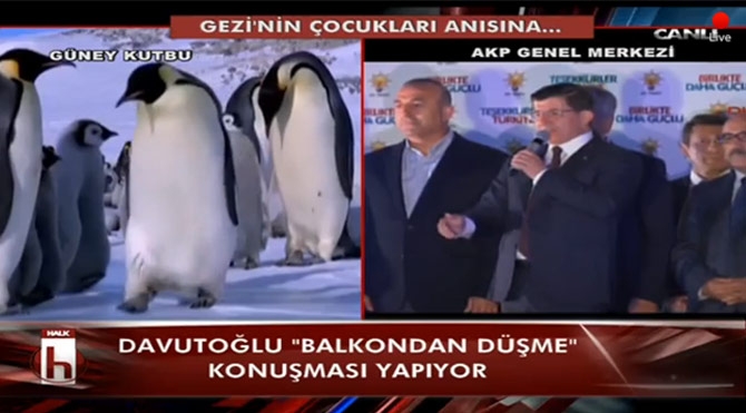 Gezi anısına: Davutoğlu konuşurken penguen belgeseli!