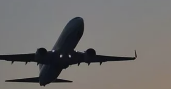 Güney Kore'de havadayken kapısı açılan yolcu uçağı güvenli iniş yaptı