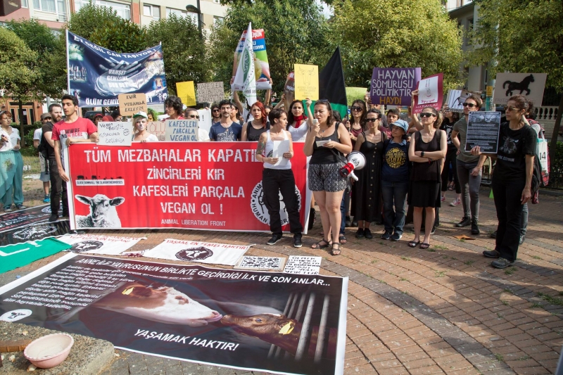 Hayvan hakları savunucuları 'Tüm mezbahalar kapatılsın' dedi!