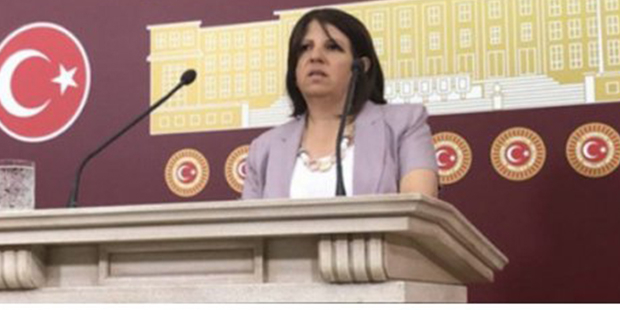 HDP Milletvekili Kurtulan'ın yargılandığı davada dokunulmazlığı hatırlatıldı, 'durma' kararı verildi