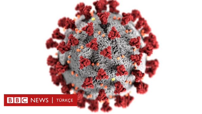 Hindistan'da 'çifte mutasyona' uğramış koronavirüs tespit edildi