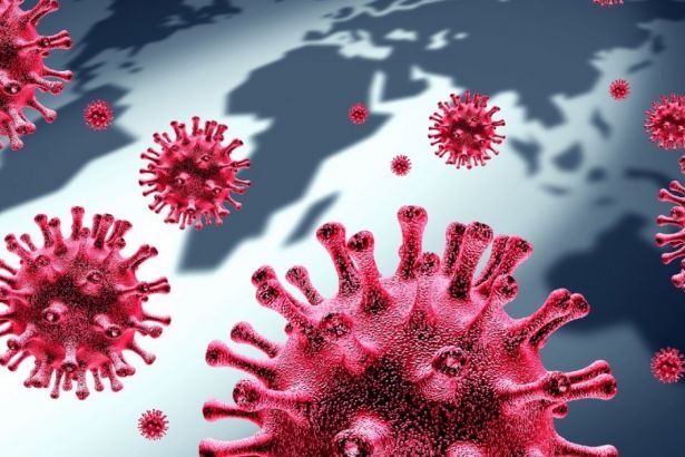 Hollanda'da kanalizasyon suyunda koronavirüs bulundu